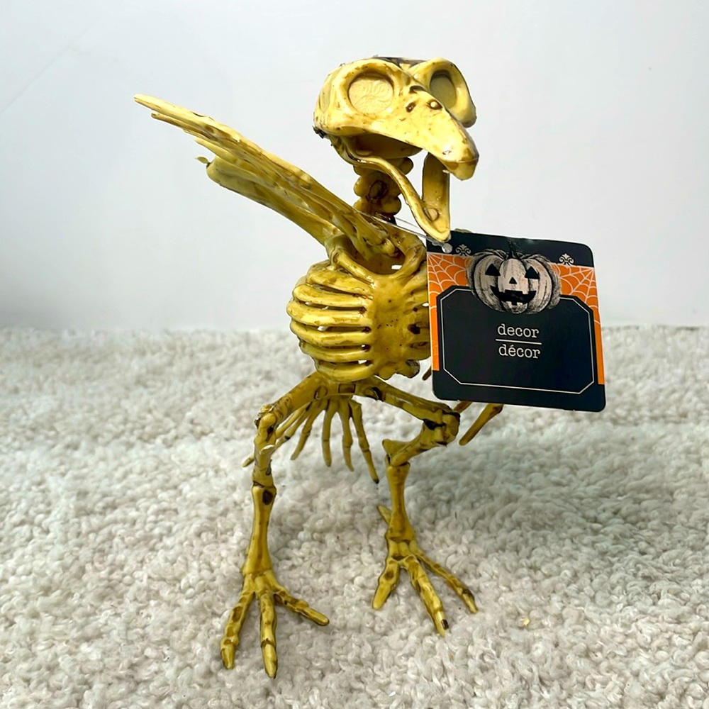 🍒 3 for 25 🍒 Raven Skeleton Halloween Prop Realistic Pirate bird